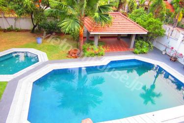 Strongly Impressive Villas for you in Thao Dien Area