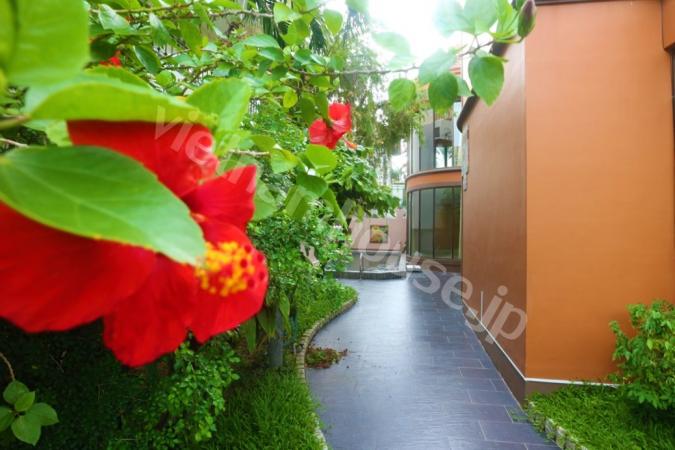 Beautiful villa with wonderful garden in Thao Dien