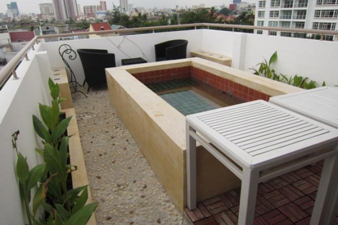 Very unique Serviced Apartment in Thao Dien