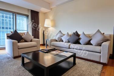 Elegance of the upscale serviced apartment in District 1