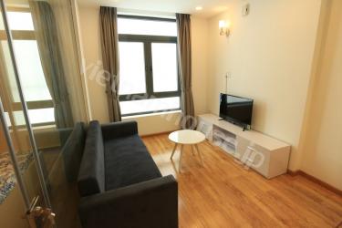 Spacious one bedroom in Thao Dien, District 2.