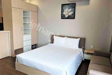 Affordable price for serviced apartment located in District 4